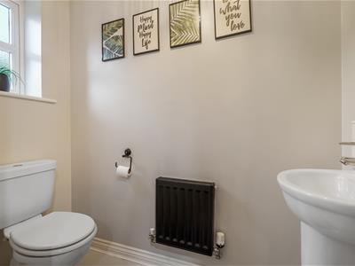 Picture 8